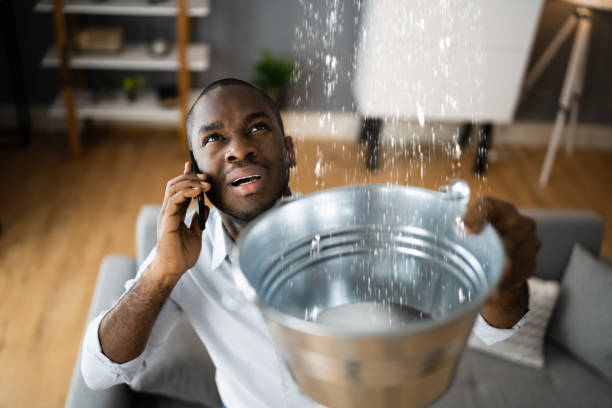 Best Water damage contractors near me  in Wheaton, MD