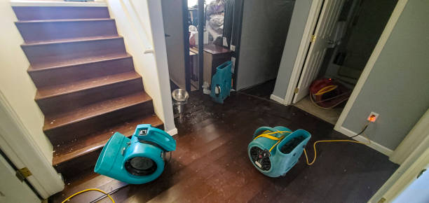 Best Water damage cleanup near me  in Wheaton, MD