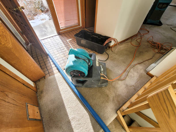 Best Emergency water damage restoration  in Wheaton, MD