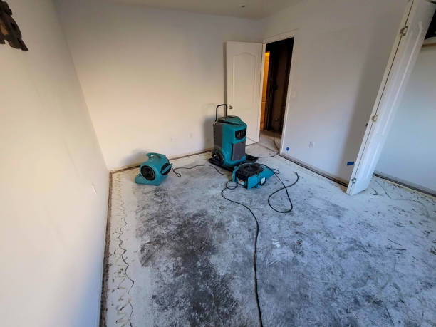 Best Professional water damage repair  in Wheaton, MD