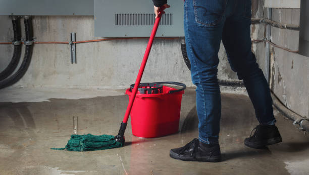 Best Carpet water damage restoration  in Wheaton, MD