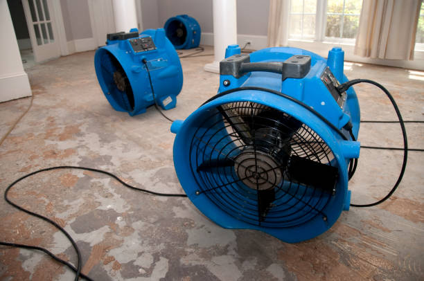 Wheaton, MD Water damage restoration Pros