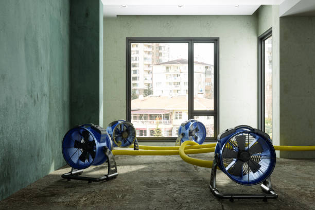 Best Fire Damage Restoration  in Wheaton, MD